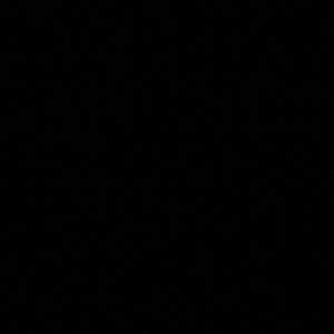 Meet your Posher, Jacky